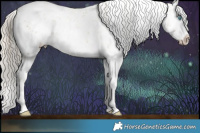 Horse Color:White Spotted Chocolate Palomino Pearl Mushroom Sabino  and White Spotted Chocolate Palomino Pearl Mushroom Sabino 