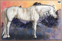 Horse Color:White Spotted Liver Chestnut Pearl Splash Frame Appaloosa  Brindle