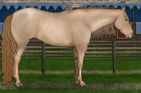 Horse Color:Liver Chestnut Pearl  and Liver Chestnut Pearl 
