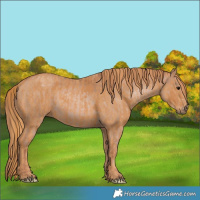 Horse Color:Brown Pearl  Brindle