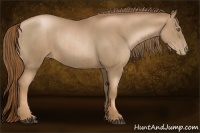 Horse Color:Liver Chestnut Pearl  and Liver Chestnut Pearl 