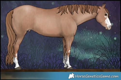 Horse Color:Black Pearl  and Black Pearl 