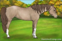 Horse Color:Black Pearl  Brindle