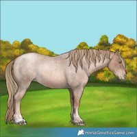 Horse Color:Liver Red Roan Pearl  and Liver Red Roan Pearl 