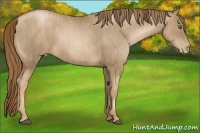 Horse Color:Liver Chestnut Pearl  Brindle
