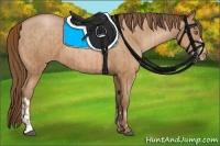 Horse Color:Bay Pearl  and Bay Pearl 