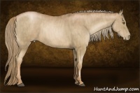 Horse Color:Liver Chestnut Pearl  Brindle
