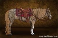 Horse Color:Liver Chestnut Ice Pearl  Brindle