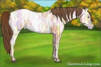 Horse Color:Bay Ice Pearl and Bay Ice Pearl