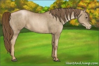 Horse Color:Liver Chestnut Pearl  Brindle
