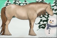 Horse Color:Liver Chestnut Pearl Brindle