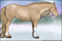 Horse Color:Liver Chestnut Pearl  Brindle