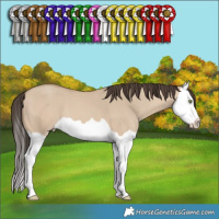 Horse Color:Amber Champagne Dun Splash