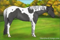 Horse Color:Smoky Blue Roan Tobiano 