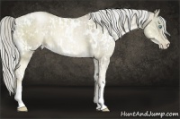 Horse Color:White Spotted Chocolate Palomino Pearl  and White Spotted Chocolate Palomino Pearl 