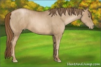 Horse Color:Liver Chestnut Pearl  Brindle