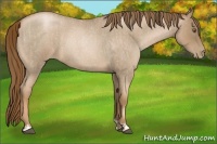 Horse Color:Liver Red Roan Pearl  and Liver Red Roan Pearl 