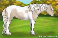 Horse Color:Chocolate Palomino Pearl Tobiano 