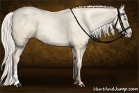Horse Color:Silver Amber Cream Champagne Pearl 