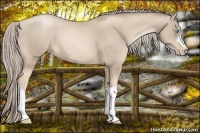 Horse Color:Chocolate Palomino Pearl