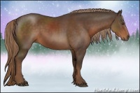 Horse Color:Liver Chestnut