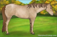 Horse Color:Liver Chestnut Pearl  Brindle