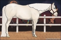 Horse Color:Gold Cream Champagne Pearl 