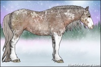 Horse Color:Silver Brown Ice Sabino Rabicano 