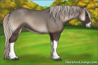 Horse Color:Silver Blue Onyx Tobiano 