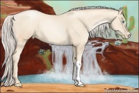 Horse Color:Gold Cream Champagne Pearl