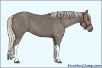 Horse Color:Silver Smoky Black 