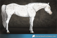 Horse Color:Brown Ice Sabino 
