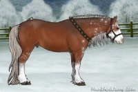 Horse Color:Silver Brown Sabino 