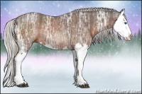 Horse Color:Silver Brown Ice Splash Rabicano 