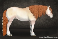 Horse Color:Sable Champagne Pearl Onyx Sabino Rabicano
