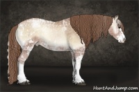Horse Color:Blue Onyx Ice Pearl Sabino Rabicano
