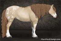 Horse Color:Liver Red Dun Pearl Sabino 