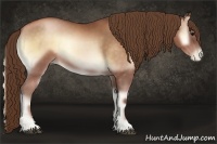 Horse Color:Brown Pearl Onyx Rabicano 