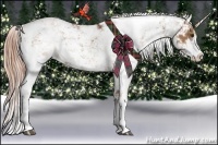 Horse Color:Chestnut Sabino