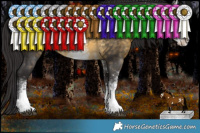 Horse Color:White Spotted Buckskin