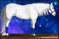 Horse Color:White Spotted Black Splash 