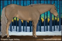 Horse Color:Chocolate Palomino 