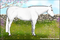 Horse Color:Gray Chocolate Palomino 