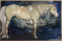 Horse Color:White Spotted Chocolate Palomino Dun Splash