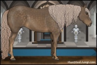 Horse Color:Chocolate Palomino 