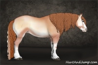 Horse Color:Bay Pearl Onyx Sabino Splash 