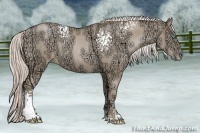 Horse Color:White Spotted Chocolate Palomino Ice Pearl