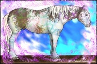Horse Color:White Spotted Liver Chestnut
