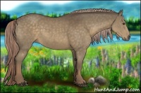 Horse Color:Chocolate Palomino Rabicano 