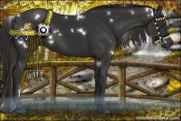 Horse Color:White Spotted Liver Chestnut Rabicano 